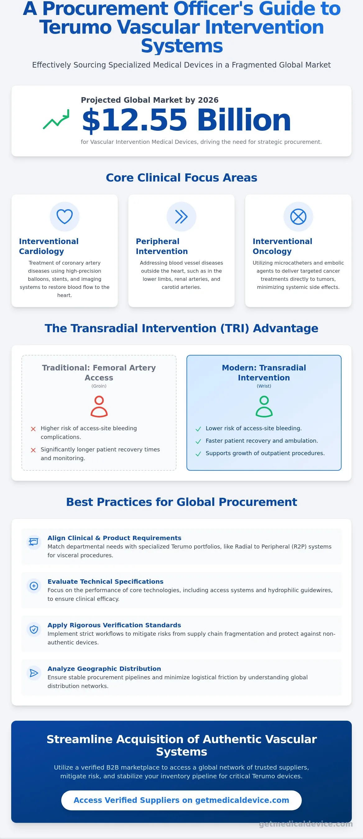 Terumo vascular intervention products